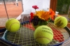 vm-2014_0013 vm-2014_0013
